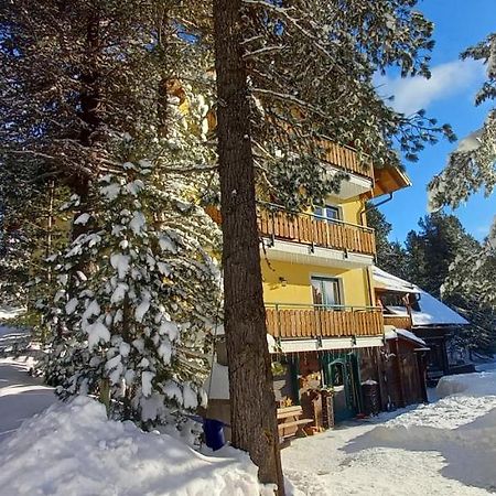 Almhaus Blümel Daire Turracher Hohe Dış mekan fotoğraf