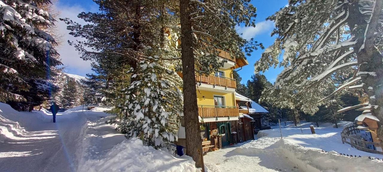 Almhaus Blümel Daire Turracher Hohe Dış mekan fotoğraf